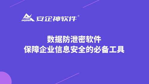 數(shù)據(jù)防泄密軟件 構(gòu)筑企業(yè)信息安全防線的核心技術(shù)
